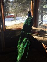 Owl Farm Writing Cabin
